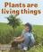 Cover of: Plants Are Living Things (Introducing Living Things)