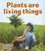 Cover of: Plants Are Living Things (Introducing Living Things)