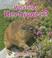 Cover of: What Is a Herbivore? (Big Science Ideas)