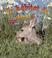 Cover of: Un Habitat De Pastizal/ A Grassland Habitat (Introduccion a Los Habitats/ Introduction to Habitats)