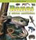 Cover of: Ranas Y Otros Anfibios/ Frogs and Other Amphibians (Que Tipo De Animal Es?/ What Type of Animal Is It?)
