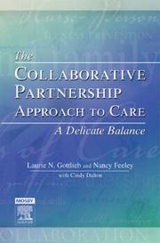 Cover of: The Collaborative Partnership Approach to Care - A Delicate Balance: Revised Reprint