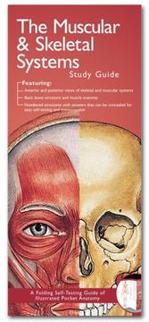 Cover of: Anatomical Chart Company's Illustrated Pocket Anatomy by Anatomical Chart Company