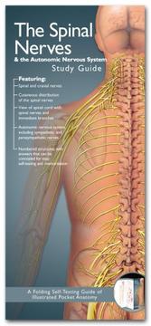 Cover of: Anatomical Chart Company's Illustrated Pocket Anatomy by Anatomical Chart Company