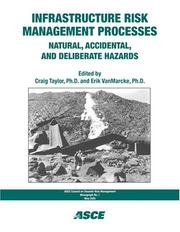 Cover of: INfrastructure Risk Management Processes: Natural, Accidental, and Deliberate Hazards (Asce Council on Disaster Risk Management Monograph)