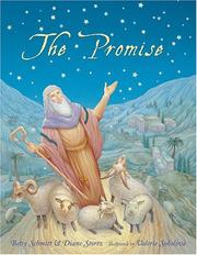 The promise of Abraham by Betsy Schmitt, Diane M. Stortz