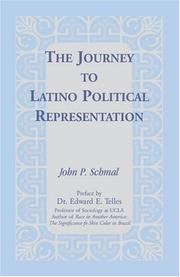 Cover of: The Journey to Latino Political Representation