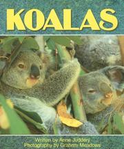 Cover of: Koalas by Anne Juddrey