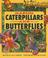 Cover of: Making Caterpillars and Butterflies