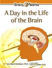 Cover of: A Day in the Life of the Brain (Brain Works)