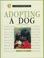 Cover of: Adopting a Dog