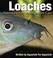 Cover of: Loaches