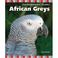 Cover of: African Greys (The Birdkeepers' Guides)