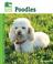 Cover of: Poodles (Animal Planet Pet Care Library)