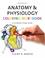 Cover of: Anatomy & Physiology Coloring Workbook