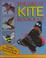 Cover of: The Great Kite Book & Kit