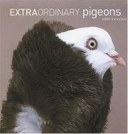 Cover of: Extraordinary Pigeons 2005 Wall Calendar
