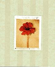 Cover of: Deborah Schenck Flower Photo Frame