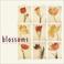 Cover of: Blossoms 2002 Wall Calendar