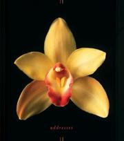 Cover of: Orchids Address Book (Stay in Touch)