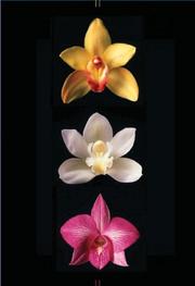 Cover of: Orchids Journal