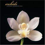 Cover of: Orchids 2006 Wall Calendar