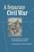 Cover of: A separate Civil War