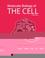 Cover of: Molecular Biology of the Cell