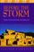 Cover of: Before the storm