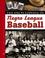 Cover of: The Encyclopedia of Negro League Baseball (Facts on File Sports Library)