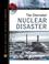 Cover of: The Chernobyl nuclear disaster