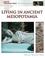 Cover of: Living in Ancient Mesopotamia