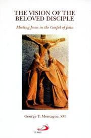 Cover of: The vision of the beloved disciple: meeting Jesus in the Gospel of John