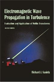 Cover of: Electromagnetic Wave Propagation in Turbulence | Richard J. Sasiela