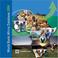 Cover of: World Bank Africa Database 2004