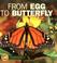 Cover of: From Egg to Butterfly (Start to Finish)