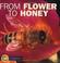 Cover of: From Flower to Honey (Start to Finish)