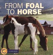 Cover of: From Foal to Horse (Start to Finish) by Robin Nelson