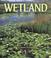 Cover of: Wetlands (First Step Nonfiction : Habitats)