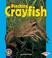 Cover of: Pinching Crayfish (Pull Ahead Books)