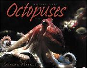 Cover of: Octopuses