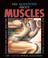 Cover of: 101 Questions About Muscles