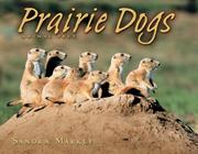 Cover of: Prairie Dogs (Animal Prey)