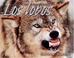 Cover of: Los Lobos/wolves (Animales Depredadores/Animal Predators)