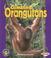 Cover of: Climbing Orangutans (Pull Ahead Books)