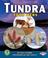 Cover of: Tundra Food Webs (Early Bird Food Webs)