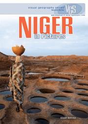 Cover of: Niger in Pictures by Alison Behnke