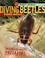 Cover of: Diving Beetles