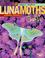 Cover of: Luna Moths
