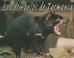 Cover of: Los Demonios De Tasmania/Tasmanian Devils (Animales Carroneros/Animal Scavengers)